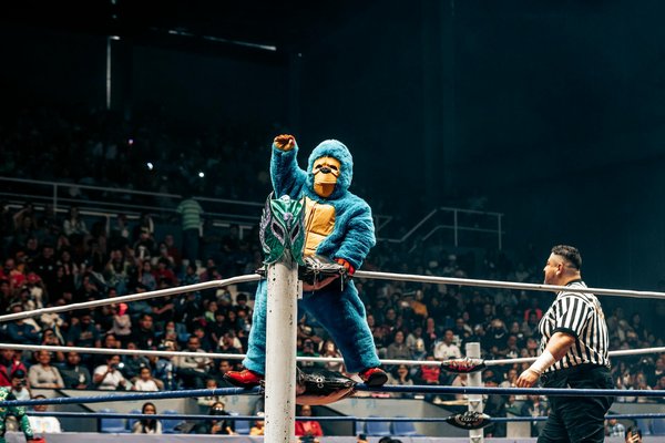 Avis sur les meilleures cannes à pêche : guide complet 2025